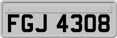 FGJ4308