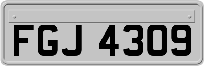 FGJ4309