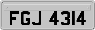 FGJ4314