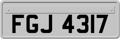 FGJ4317