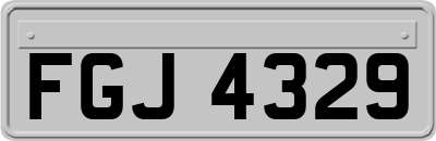 FGJ4329
