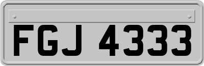 FGJ4333