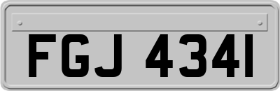 FGJ4341