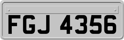 FGJ4356