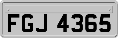 FGJ4365
