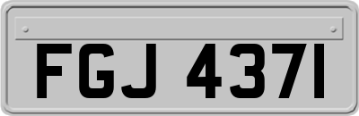 FGJ4371