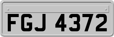 FGJ4372