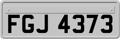 FGJ4373