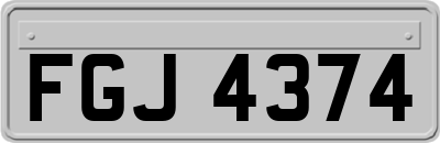 FGJ4374