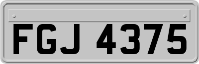 FGJ4375