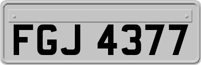 FGJ4377