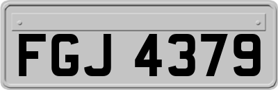 FGJ4379
