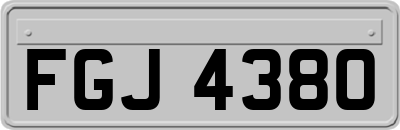 FGJ4380