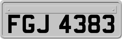 FGJ4383