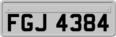 FGJ4384