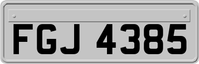 FGJ4385