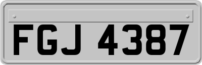 FGJ4387