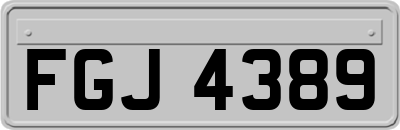 FGJ4389