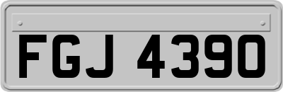 FGJ4390