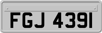FGJ4391