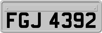 FGJ4392