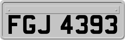 FGJ4393