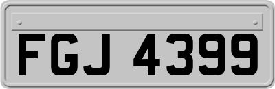 FGJ4399