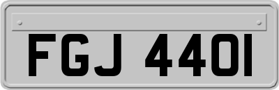 FGJ4401