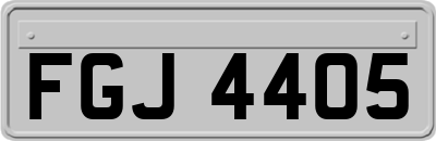 FGJ4405