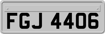 FGJ4406
