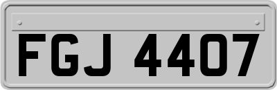 FGJ4407