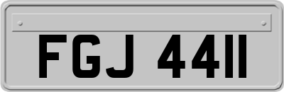 FGJ4411