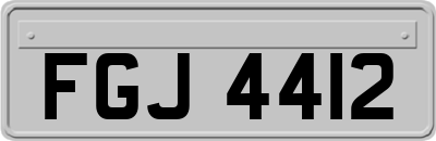 FGJ4412