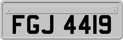 FGJ4419