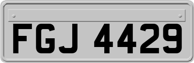 FGJ4429