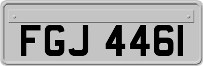 FGJ4461