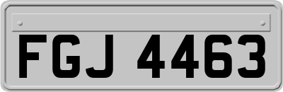 FGJ4463
