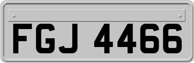 FGJ4466