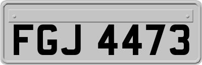 FGJ4473