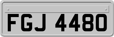FGJ4480