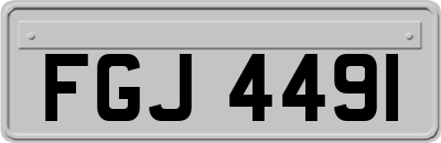 FGJ4491
