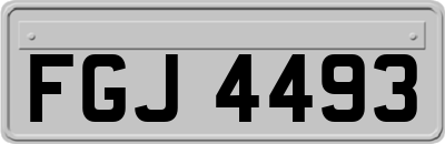 FGJ4493