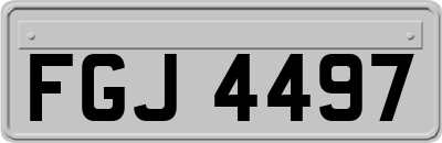 FGJ4497