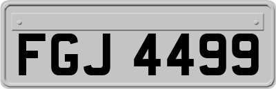 FGJ4499