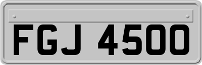 FGJ4500