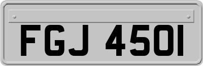 FGJ4501