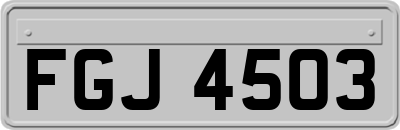 FGJ4503
