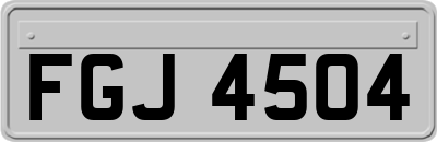 FGJ4504