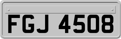 FGJ4508