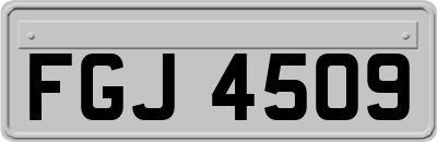 FGJ4509